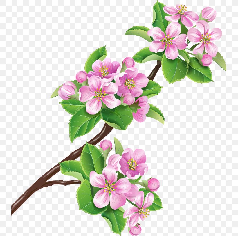 Flower Branch Blossom Stock Illustration, PNG, 741x811px, Flower, Apple, Blossom, Branch, Cherry Blossom Download Free