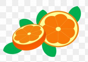 Orange - Mandarin Orange Orange Juice Food PNG