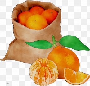 Clementine Mandarin Orange Tangerine Grapefruit PNG