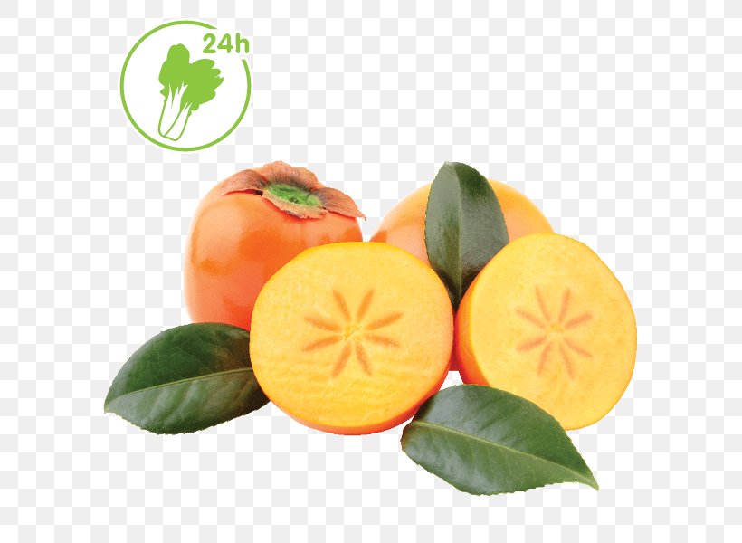 Clementine Tangerine Mandarin Orange Tangelo Bitter Orange, PNG, 600x600px, Clementine, Bitter Orange, Citrus, Cucurbita, Diet Download Free