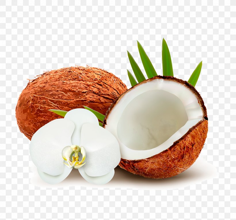 Coconut Water Coconut Milk Clip Art, PNG, 1024x956px, Coconut Water, Coconut, Coconut Milk, Coconut Oil, Fat Download Free