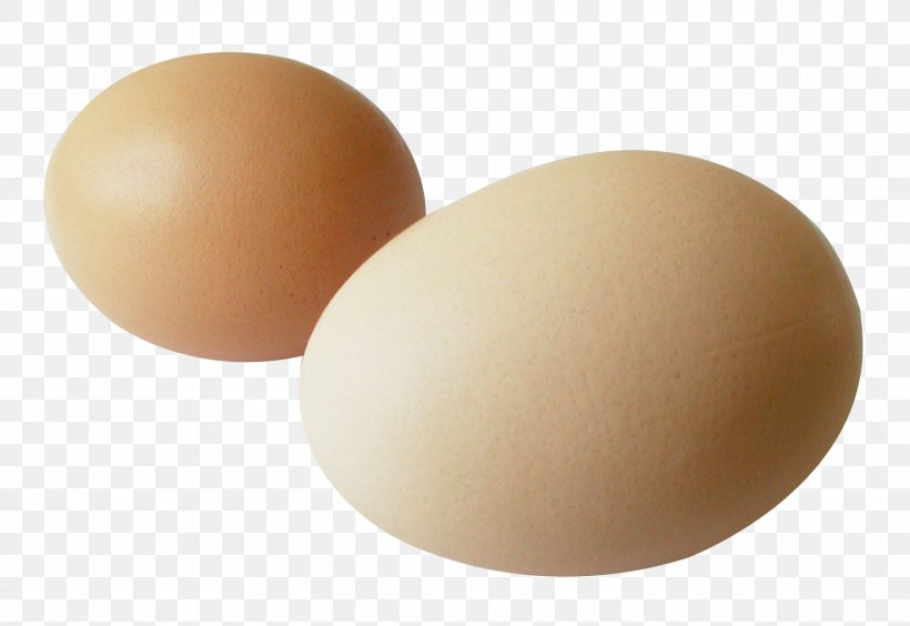 Egg Brown, PNG, 1601x1103px, Nutrition, Chicken Egg, Designer, Egg Download Free
