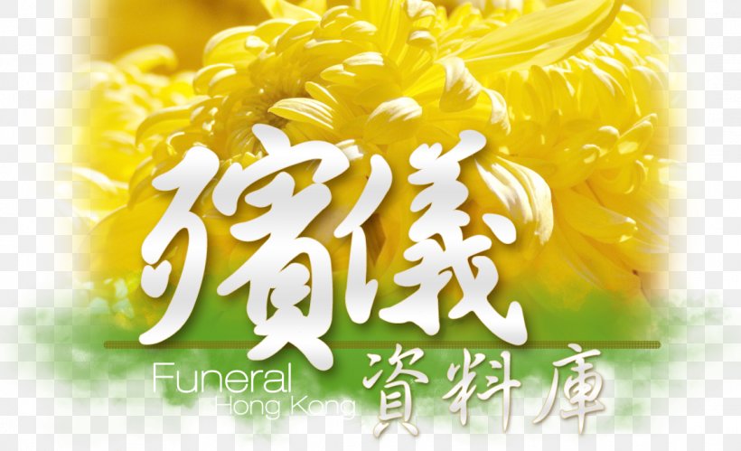 香港殡仪 Hong Kong Index Term Database, PNG, 1138x693px, Hong Kong, Database, Dicky Cheung, Flower, Funeral Download Free