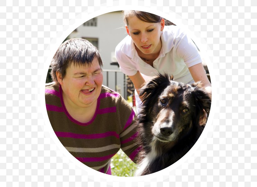 Developmental Disability Learning Disability Health Care Therapy, PNG, 597x597px, Disability, Caregiver, Developmental Disability, Dog, Dog Breed Download Free