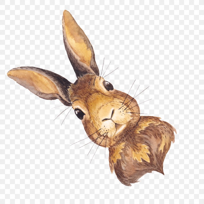 Domestic Rabbit Hare, PNG, 1024x1024px, Domestic Rabbit, American Legion, Animal, Ear, Fauna Download Free