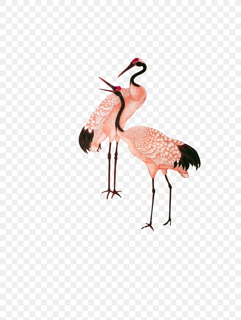 Red-crowned Crane Google Images Clip Art, PNG, 554x1090px, Crane, Animal, Beak, Bird, Copyright Download Free