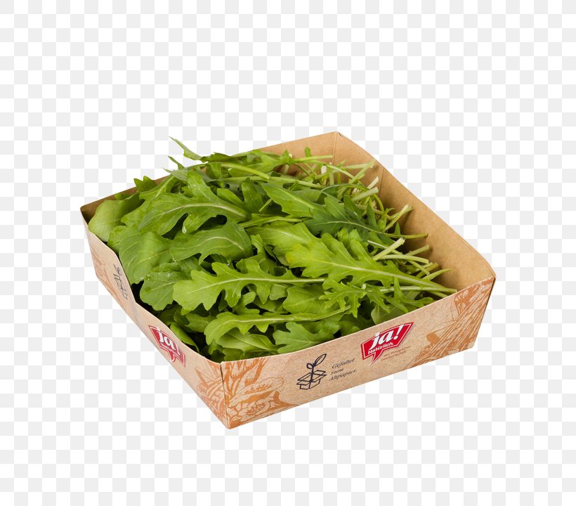Spinach Spring Greens Herb Leaf Vegetable, PNG, 720x720px, Spinach, Herb, Leaf Vegetable, Spring Greens, Vegetable Download Free