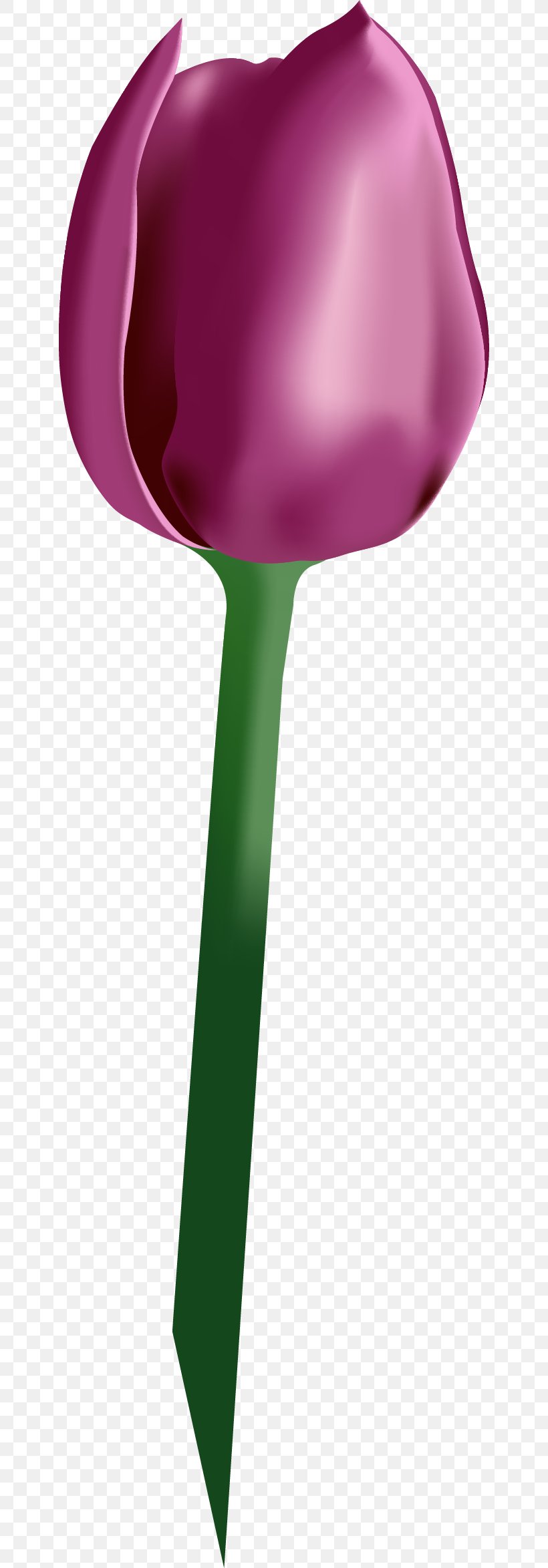 Tulip Euclidean Vector Computer File, PNG, 644x2348px, Tulip, Adobe Freehand, Flower, Gratis, Magenta Download Free
