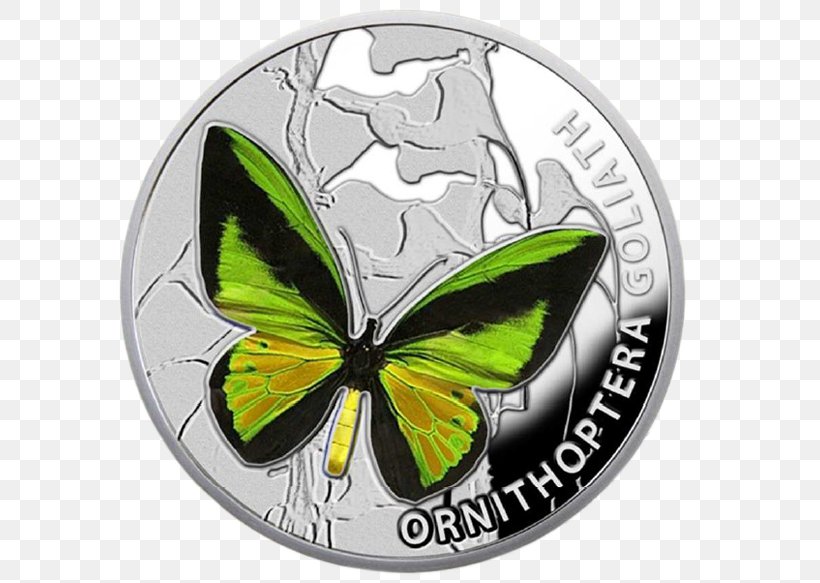 Butterflies And Moths Silver Coin Insect Wing Nature, PNG, 600x583px, Butterflies And Moths, Australian One Dollar Coin, Beauty, Brush Footed Butterfly, Butterfly Download Free