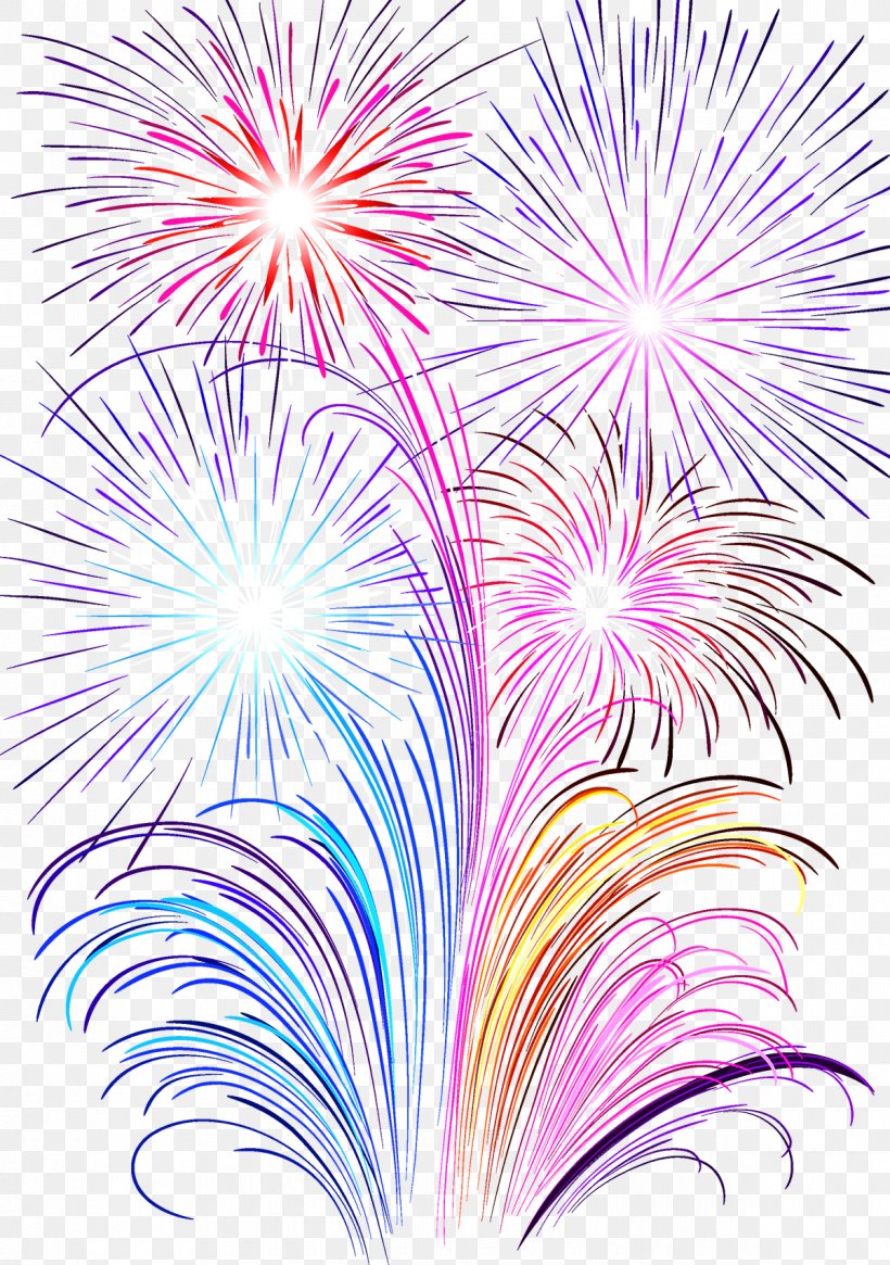 Fireworks Photography, PNG, 1200x1706px, Fireworks, Artificier, Event, Flower, Flowering Plant Download Free