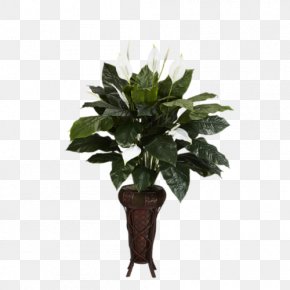 Kitchen - Kitchen Houseplant Peace Lily Furniture PNG