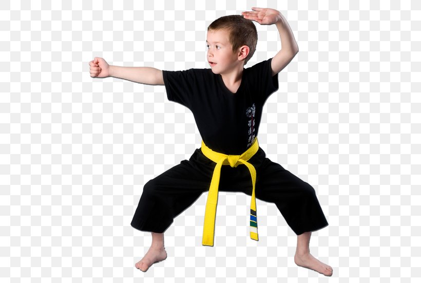 Kung Fu Kuk Sool Won Chinese Martial Arts Karate, PNG, 500x551px, Kung Fu, Afterschool Activity, Child, Child Care, Chinese Martial Arts Download Free