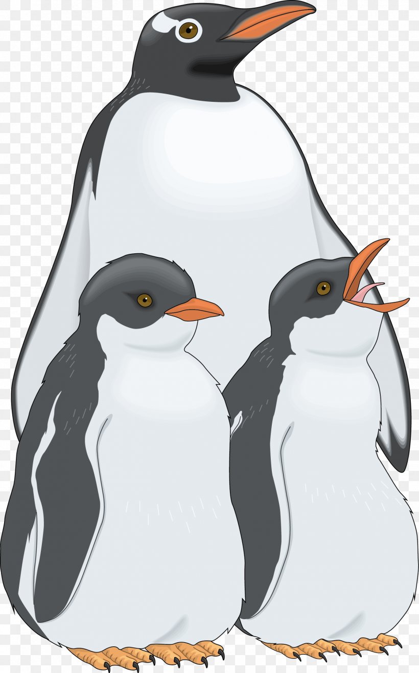 Penguin Bird, PNG, 1529x2452px, Penguin, Animation, Beak, Bird, Cartoon Download Free