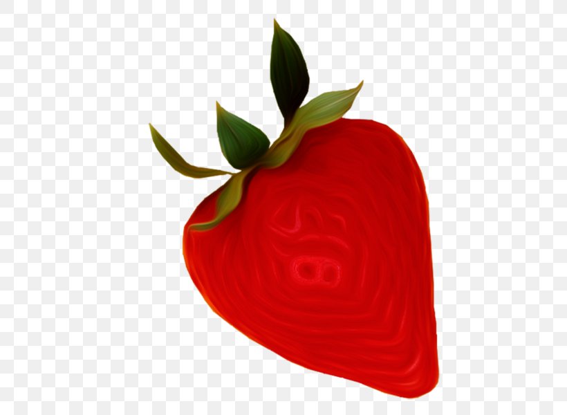Strawberry Auglis Clip Art, PNG, 486x600px, Strawberry, Auglis, Flower, Fruit, Grape Download Free