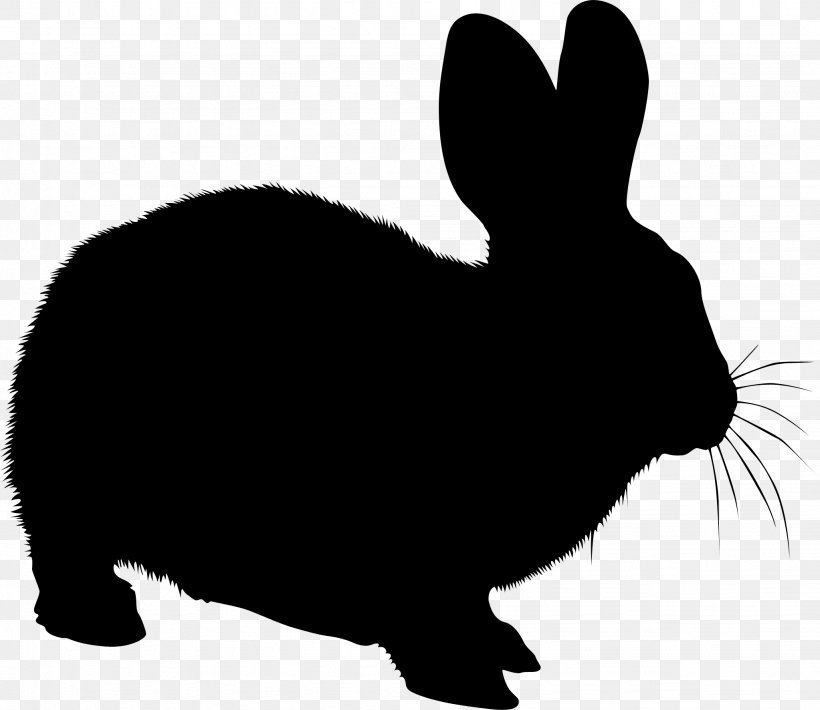 Domestic Rabbit Hare Black & White, PNG, 2046x1773px, Domestic Rabbit, Black White M, Blackandwhite, Correios, Fauna Download Free