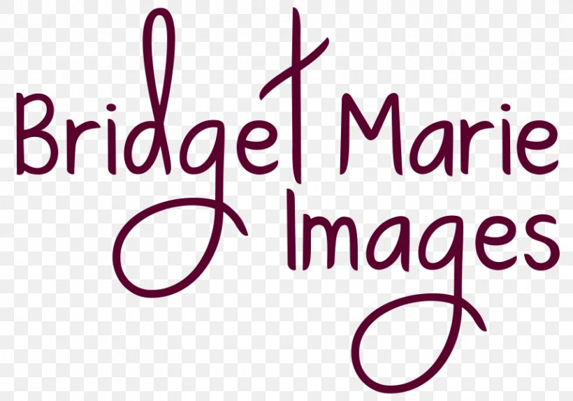 Photography Wedding Colorado Photographer, PNG, 857x600px, 30 April, Photography, Area, Brand, Colorado Download Free
