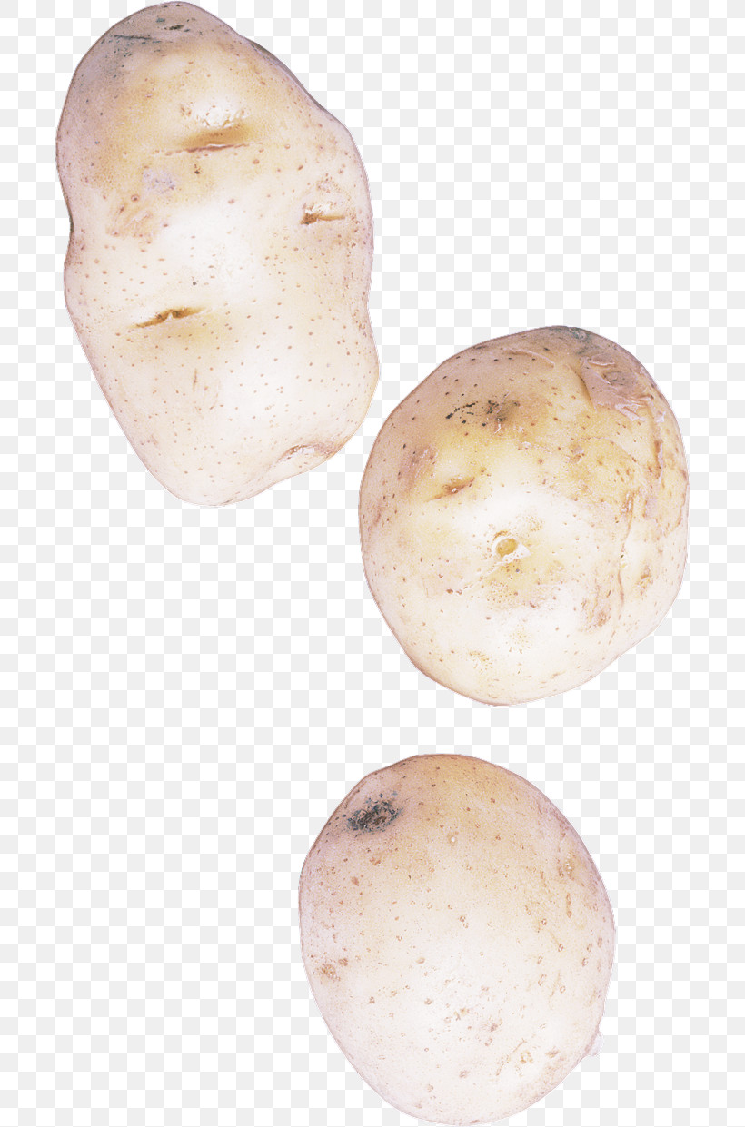 Root Vegetable Tuber Potato Vegetable Solanum, PNG, 700x1241px, Root Vegetable, Food, Plant, Potato, Russet Burbank Potato Download Free
