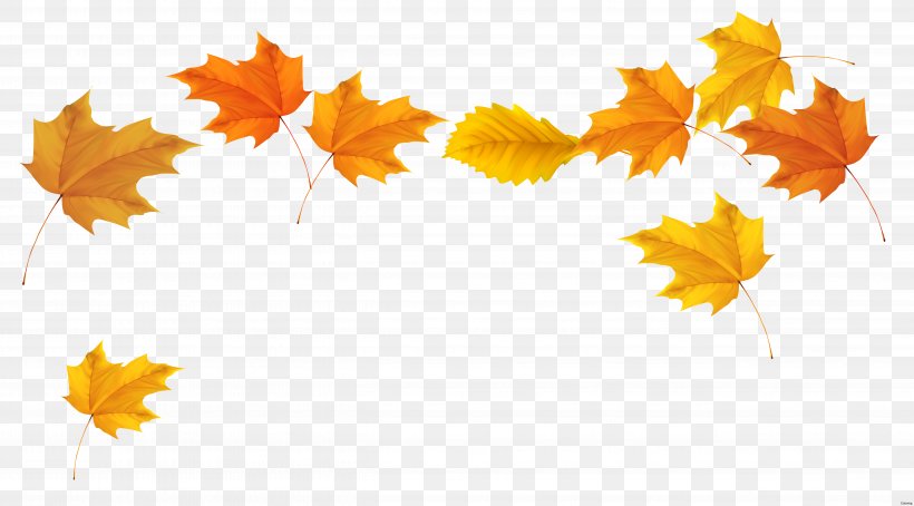 Autumn Leaf Color Clip Art, PNG, 5094x2822px, Autumn Leaf Color, Autumn, Branch, Color, Flower Download Free