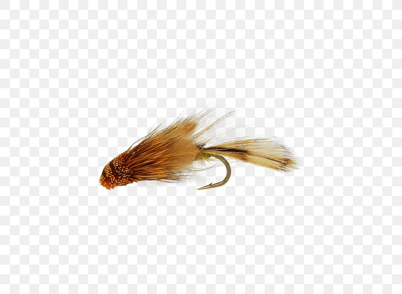 Fly Fishing Sculpins Rainbow Trout, PNG, 450x600px, Fly Fishing, Bonefish Grill, Brand Ambassador, Bugger, Fishing Download Free