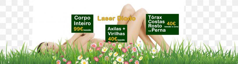 Hairdresser Lawn Covilhã Wheatgrass Energy, PNG, 1920x520px, Hairdresser, Aesthetics, Beauty Parlour, Brand, Center Download Free
