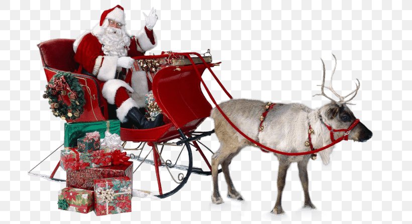Santa Claus Ded Moroz Christmas Reindeer, PNG, 709x446px, Santa Claus, Blog, Cart, Chariot, Christmas Download Free