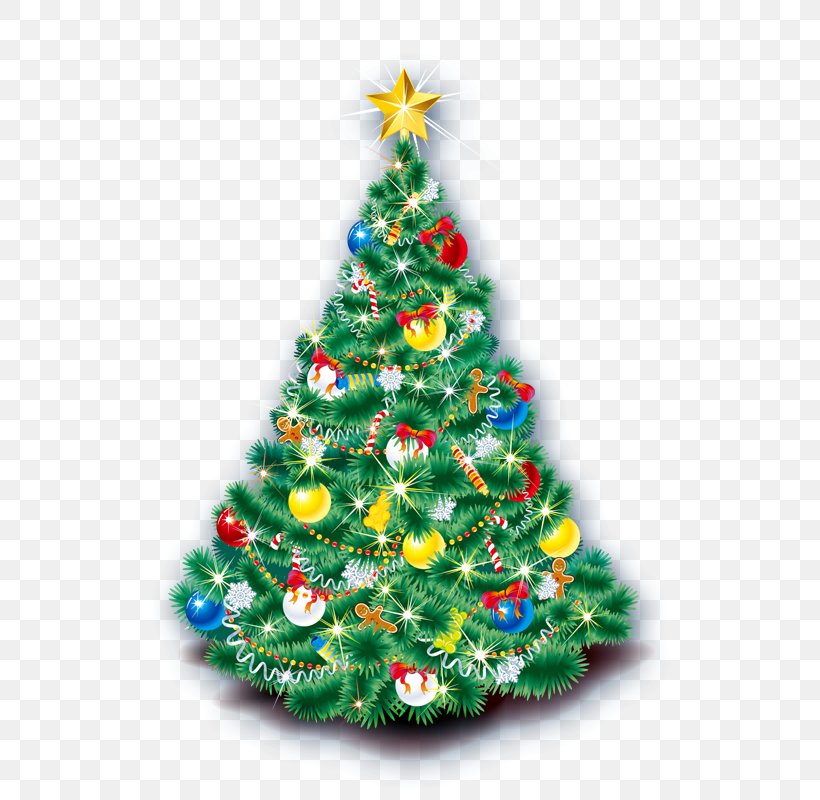 Christmas Tree Clip Art, PNG, 800x800px, Christmas, Christmas Decoration, Christmas Elf, Christmas Ornament, Christmas Tree Download Free