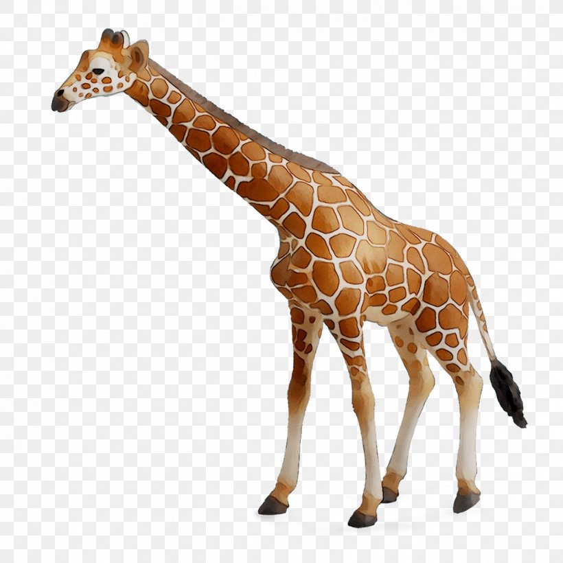CollectA Action & Toy Figures Reticulated Giraffe Jungle Animal, PNG, 1187x1187px, Collecta, Action Toy Figures, Animal, Animal Figure, Bruder Download Free