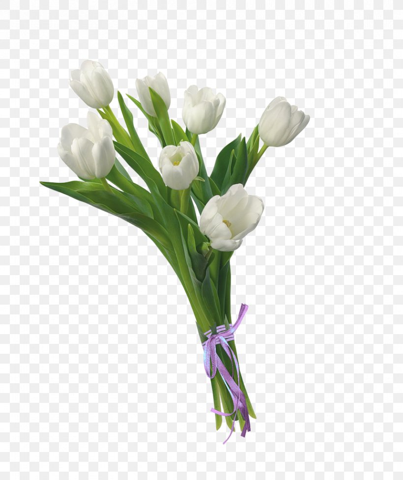Flower Bouquet Tulip Clip Art, PNG, 859x1024px, Flower, Artificial Flower, Blume, Bud, Common Daisy Download Free