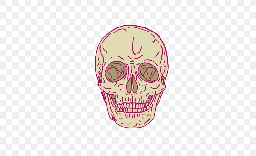 Skeleton Cartoon Skull, PNG, 500x500px, Skeleton, Bone, Cartoon, Drawing, Head Download Free