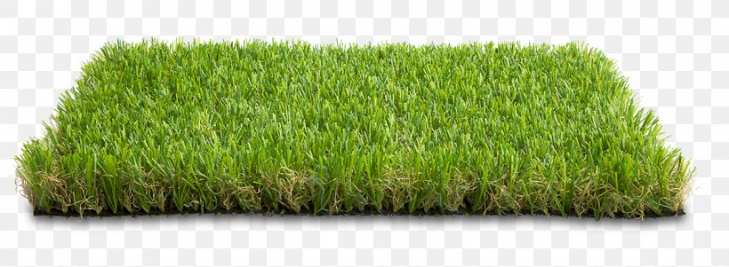 Wheatgrass Garden Street Furniture Sport Herbaceous Plant, PNG, 1170x430px, Wheatgrass, Animal, Artificial Turf, Commodity, Furniture Download Free