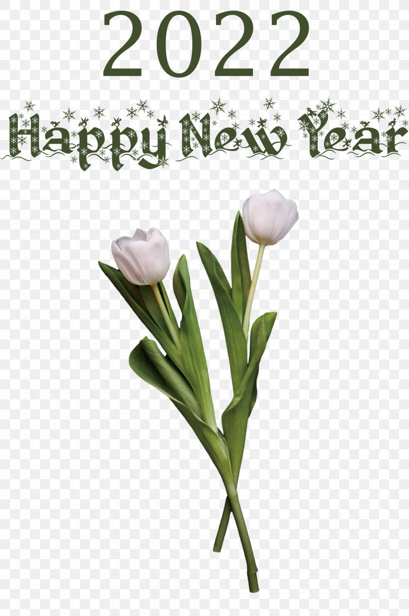 2022 Happy New Year 2022 New Year 2022, PNG, 1992x3000px, Plant Stem, Biology, Bud, Cut Flowers, Floristry Download Free