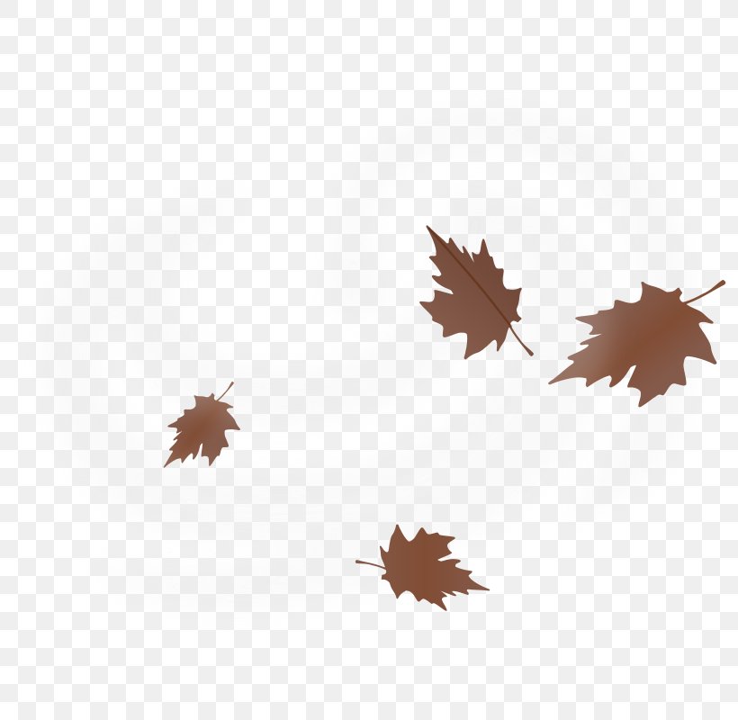 Wind Clip Art, PNG, 800x800px, Wind, Brown, Free Content, Leaf, Maple Leaf Download Free