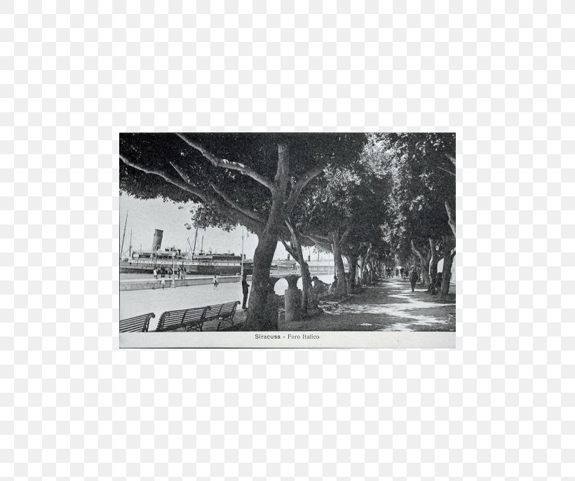 Fountain Of Arethusa Picture Frames South Italy, PNG, 686x686px, Arethusa, Bastion, Bayou, Black And White, Branch Download Free
