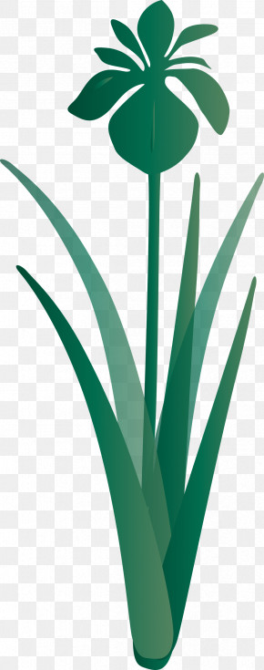 Iris Flower Spring Flower PNG