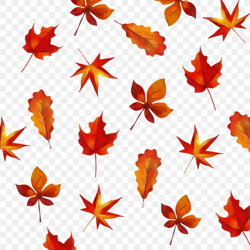 Leaf Flower Petal Maple Leaf / M Tree, PNG, 1280x1280px, Leaf, Autumn, Biology, Flower, Maple Leaf M Download Free