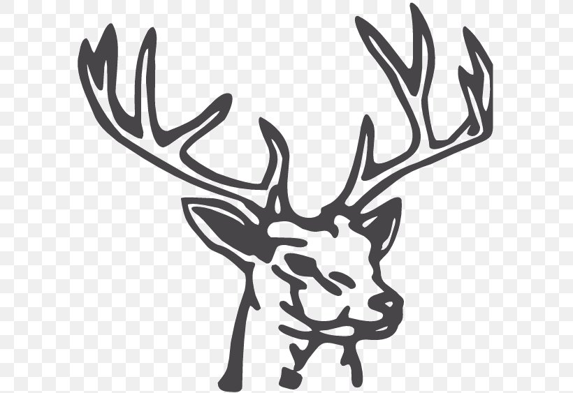 Reindeer Drawing White-tailed Deer Clip Art, PNG, 600x563px, Deer, Antler, Black And White, Deer Hunting, Drawing Download Free