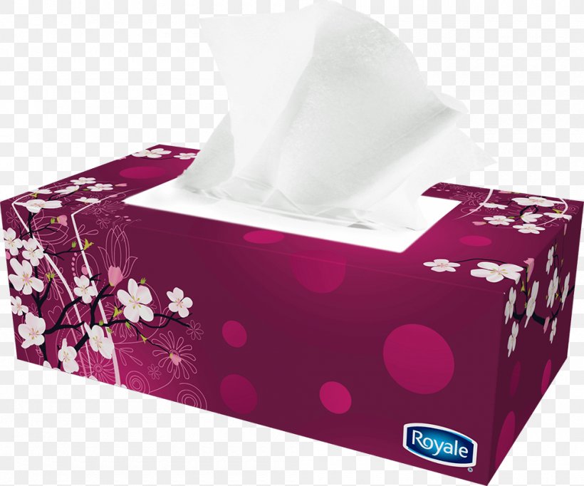 Toilet Paper Cloth Napkins Facial Tissues Royale, PNG, 1000x832px, Paper, Box, Carton, Cloth Napkins, Disposable Download Free