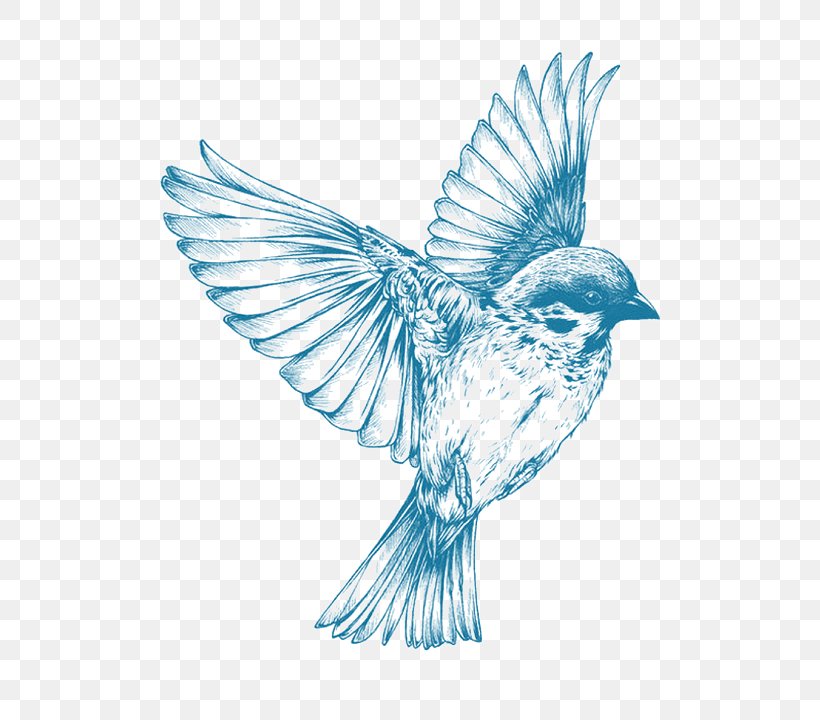 Bird Sparrow Clip Art, PNG, 512x720px, Bird, Beak, Bluebird, Bluebird Of Happiness, Bluebirds Download Free