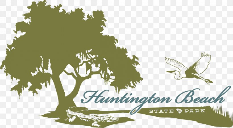 Huntington Beach State Park The Tree Technicians Straw Tacksak, PNG, 1201x662px, Flag Of The United States, Art, Branch, Brand, Campsite Download Free