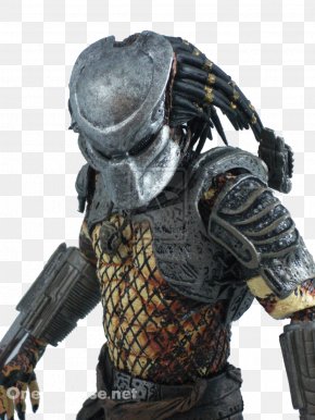 Predator - Predator Action & Toy Figures YouTube PNG
