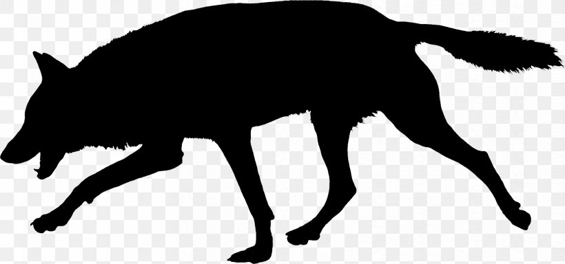 Whiskers Wolf Red Fox Cat Snout, PNG, 1656x777px, Whiskers, Black M, Blackandwhite, Cat, Character Download Free