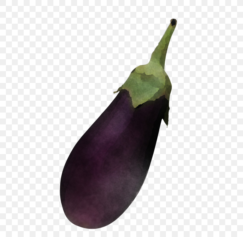 Eggplant Purple Vegetable Violet Leaf, PNG, 534x800px, Eggplant, Leaf, Plant, Purple, Vegetable Download Free