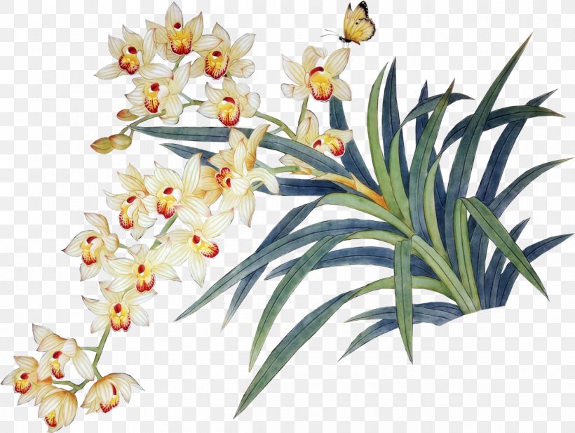 Orchids Yellow, PNG, 1200x903px, Orchids, Branch, Computer Graphics, Cut Flowers, Designer Download Free