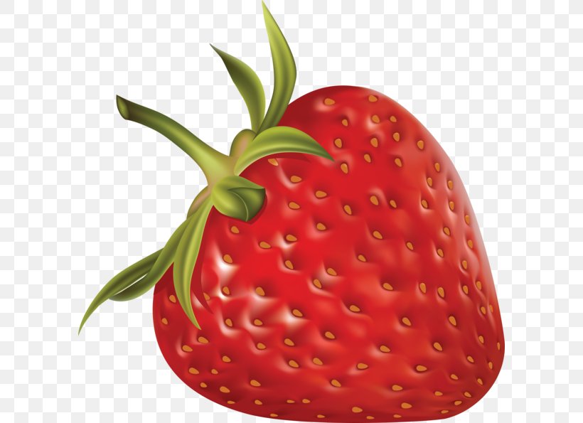 Strawberry Shortcake Clip Art, PNG, 600x595px, Strawberry, Accessory Fruit, Document, Food, Fragaria Download Free