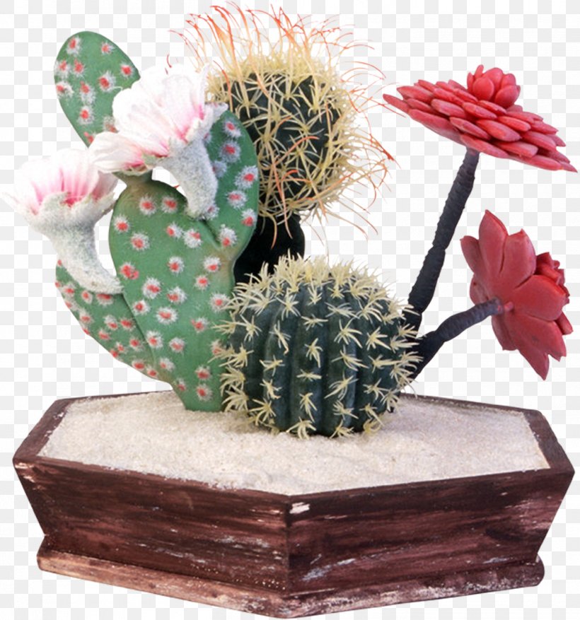 Cactaceae Isla Incahuasi Flowering Plant Flowerpot, PNG, 1416x1515px, Cactaceae, Artificial Flower, Blog, Bonsai, Cactus Download Free