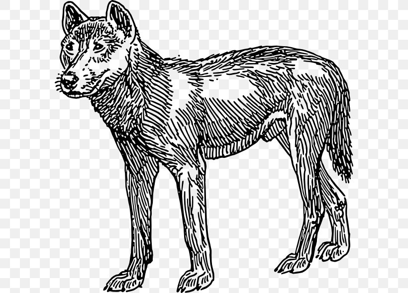 Dingo Rottweiler English Cocker Spaniel Clip Art, PNG, 600x590px, Dingo, Animal Figure, Big Cats, Black, Black And White Download Free