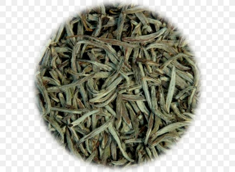 Nilgiri Tea Baihao Yinzhen Golden Monkey Tea Tea Plant, PNG, 600x600px, 2018 Audi Q7, Nilgiri Tea, Assam Tea, Audi Q7, Bai Mudan Download Free