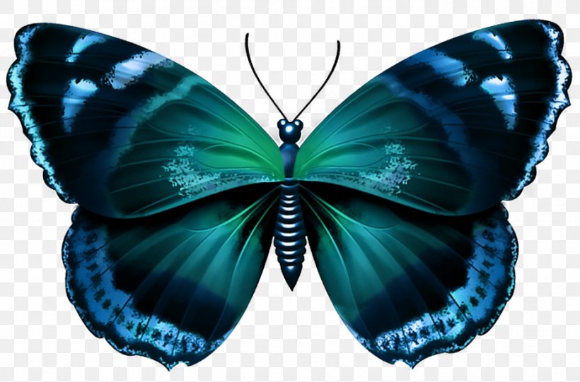 Butterfly Clip Art, PNG, 930x614px, Butterfly, Animal, Arthropod, Blue, Brush Footed Butterfly Download Free