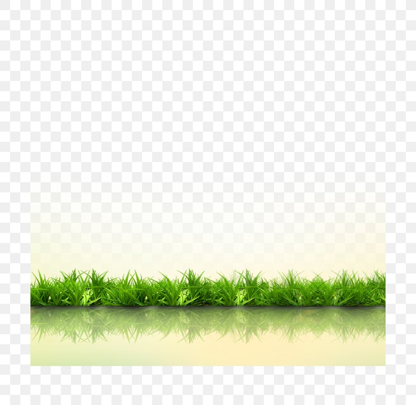 Grass Download Gratis Computer File, PNG, 700x800px, Grass, Google Images, Gratis, Green, Lawn Download Free
