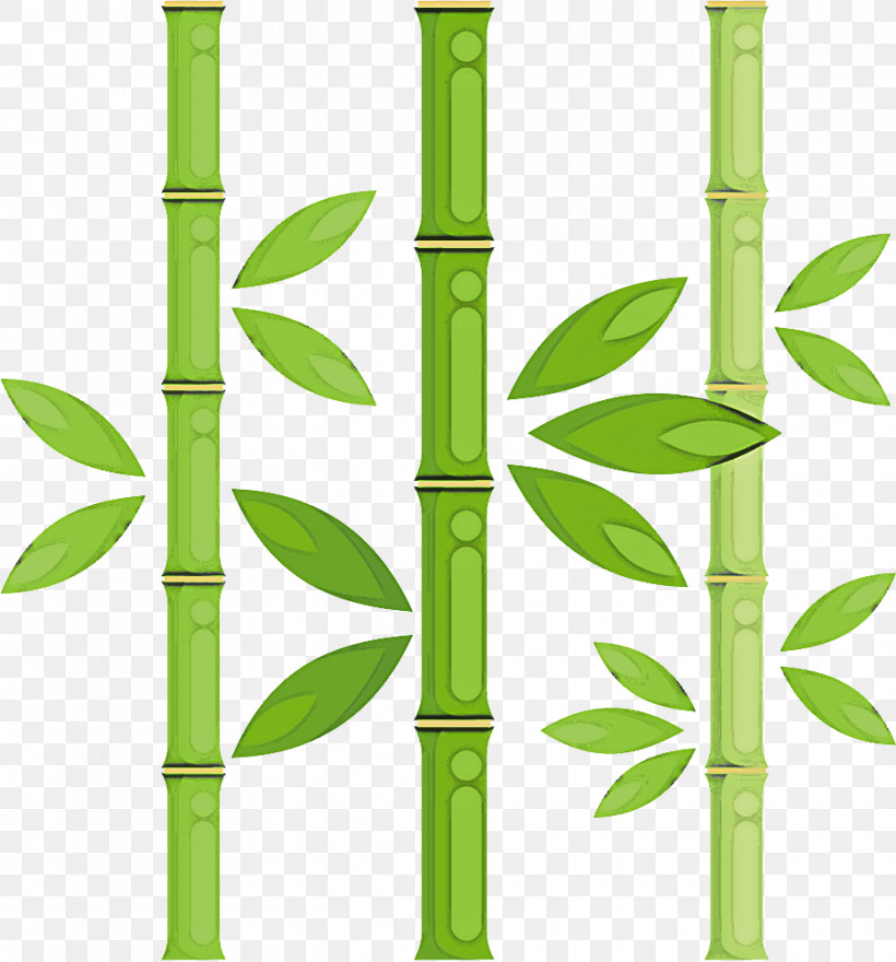 Green Bamboo Plant Stem Plant Grass Family, PNG, 931x1000px, Green, Bamboo, Flower, Grass, Grass Family Download Free